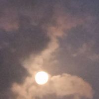 畫畫ㄉ交流所（可聊天