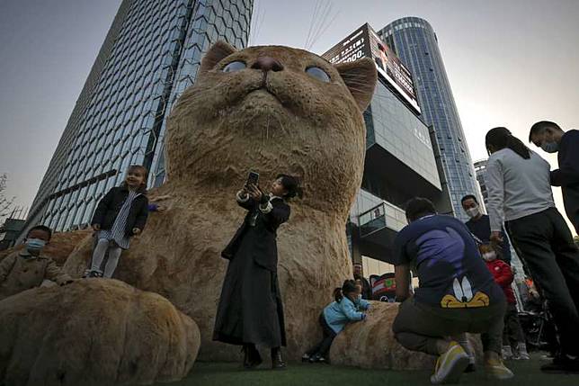 保全用滾水燙懷孕母貓釀一屍5命中國央視要求立法禁止虐待動物 風傳媒 