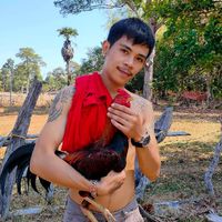 🐓ธนพล​ ฟาร์ม​ไก่ชน​🐓