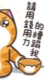 甄選后宮團購