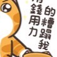 甄選后宮團購