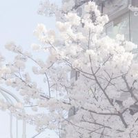 潛水群