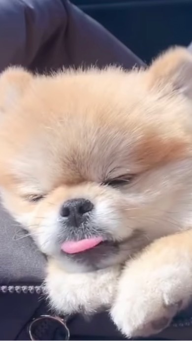 姐妹軍團✨