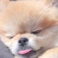 姐妹軍團✨