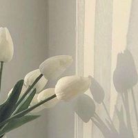 ～シンメだけ…～