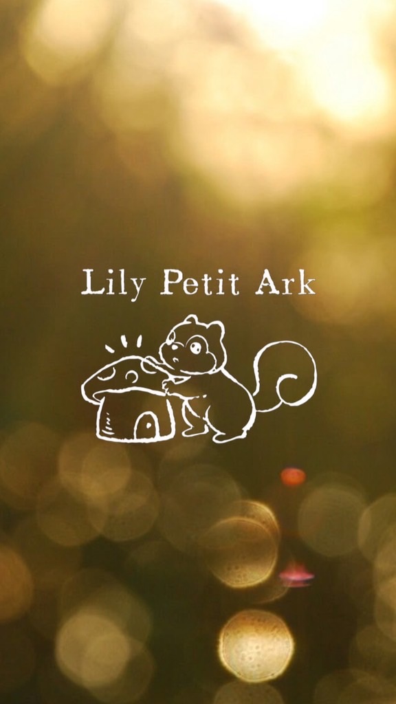 Lily Petit Ark 休團中✨