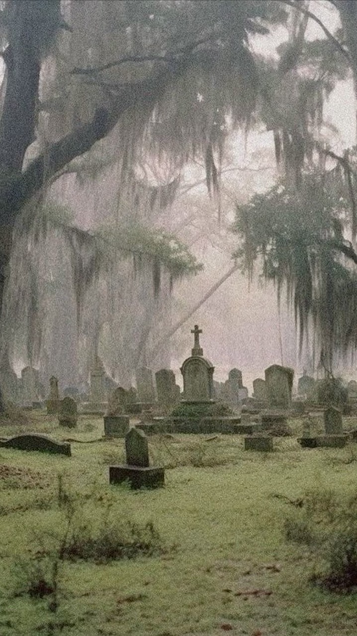 𝚃𝚑𝚎 𝚌𝚒𝚛𝚌𝚕𝚎 𝚘𝚏 𝚑𝚎𝚕𝚕☠︎ ☾︎𝙵𝚘𝚛𝚜𝚊𝚔𝚎𝚗 𝚁𝙿☽︎