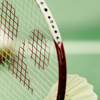 Badminton みどり 2567