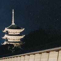 佛系現地代購