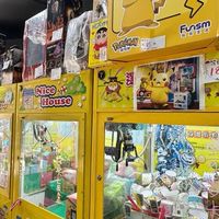 南港肥貓線上一番賞