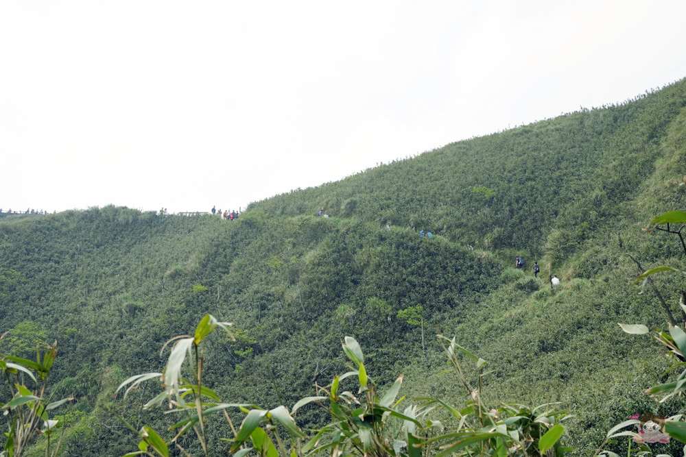 宜蘭.礁溪 臺灣的抹茶冰淇淋山，網美級小百岳仙境，挑戰聖母山莊步道，順收五峰旗瀑布