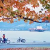 小螺絲看世界x旅遊情報、優惠票卷