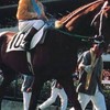 ＫＥＩＮＳ投票板(まいけるtaxi競馬好き)