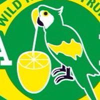 フルッタフルッタ逆転劇　開幕