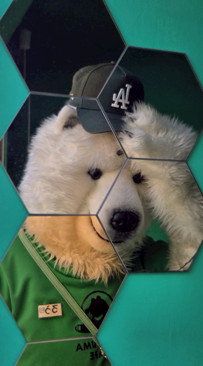 ANAKUMAオープンチャット🐻‍❄️💚