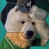 ANAKUMAオープンチャット🐻‍❄️💚
