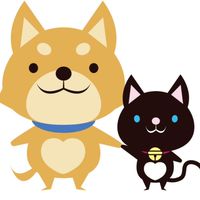 2026案内チーム