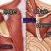 フェミニスト界隈vs筋トレ界隈