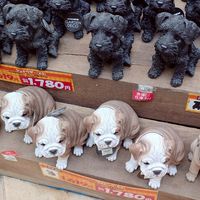 建築士様と建築士様を探されている法人様のマッチング