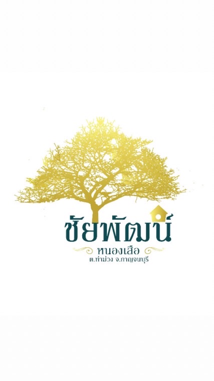 หมู่บ้านชัยพัฒน์ หนองเสือ