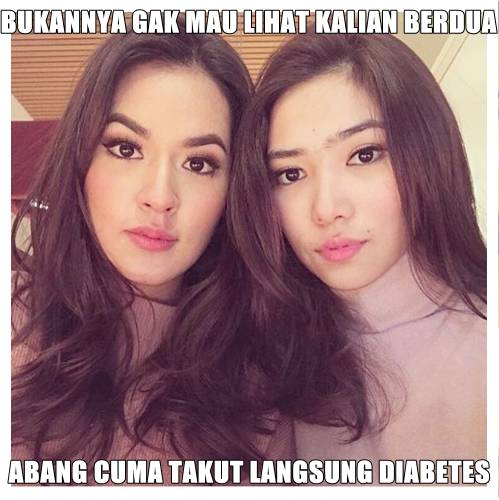 10 Meme Raisa vs Isyana Ini Bikin Susah Milih Deh