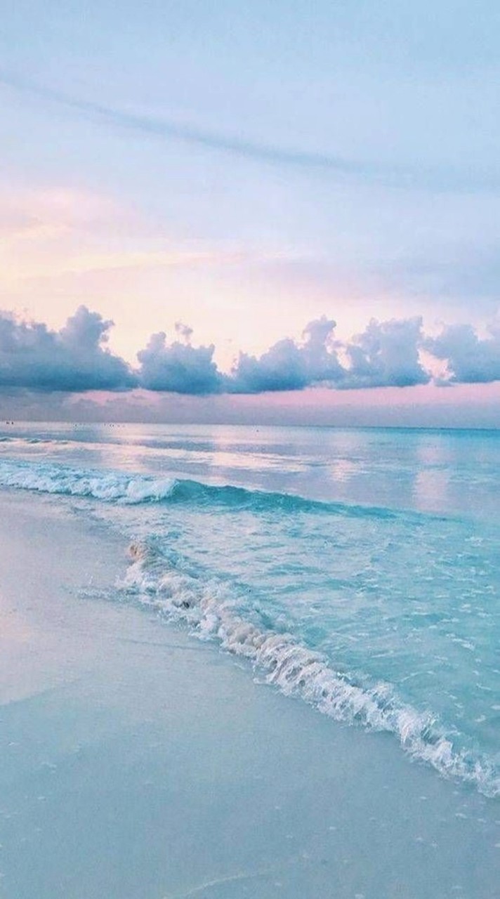 กลุ่มงานแพส