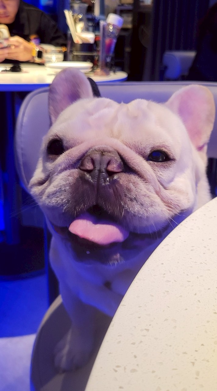 碎唸資訊分享區