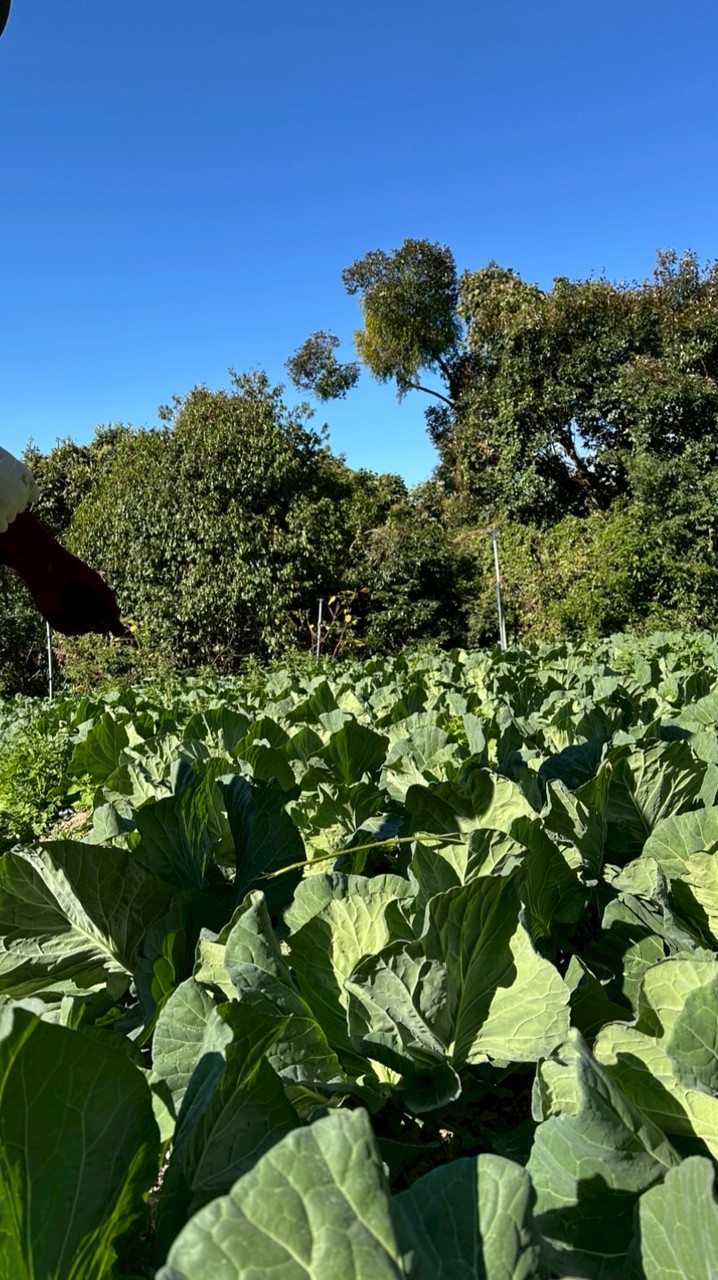 บิน/ย้ายงานไต้หวัน🇹🇼