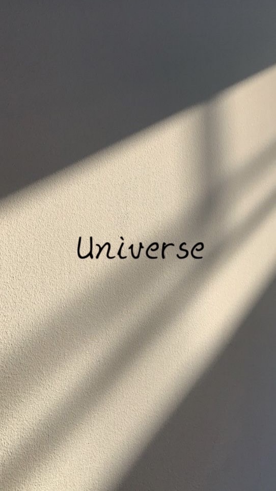 UNIVERSE 寵物上衣&用品 批發、零售