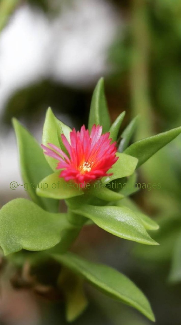 กลุ่มถ่ายรูปคนรักธรรมชาติ