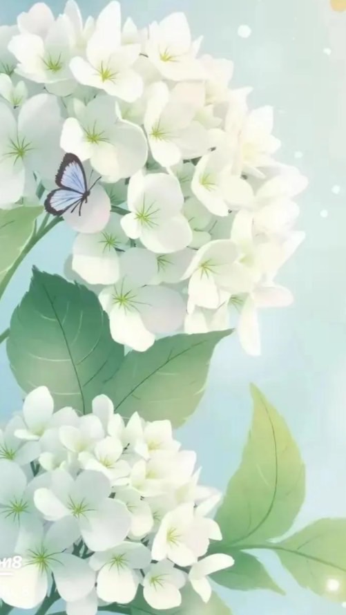 北陸*˖☘☕️くつろぎ空間☕️☘*˖°