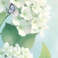 北陸*˖☘☕️くつろぎ空間☕️☘*˖°