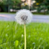 嗨嗨~聊天吧