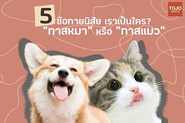 5 ข้อทายนิสัย เราเป็นใครทาสหมา หรือทาสแมว | Tojo News | Line Today