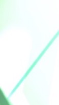 四季の移ろい