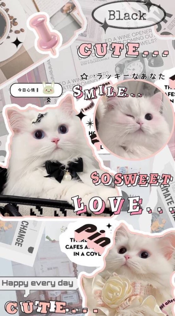 想要聊天、處關係、拿圖的都可以進來喔