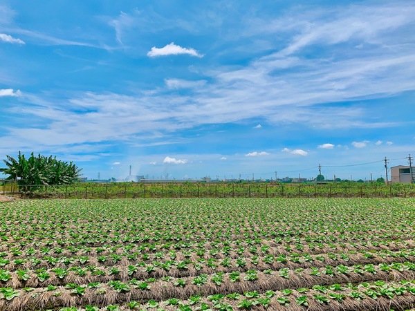 「溪州美食推薦」彰化安心旅遊，現做「蚵仔炒麵/便當/蚵嗲/蘿蔔糕/挫冰/炸粿/菜條/各式湯品」在地美食首選-三條麗華小吃店直擊分享