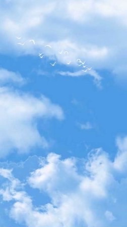 30+40+ 10分鐘蔥油餅+蛋時間