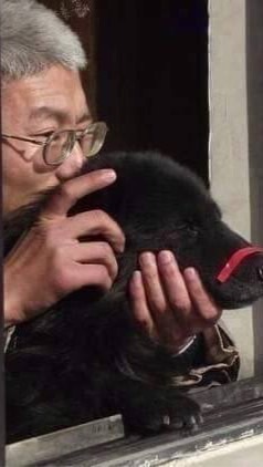 攝手1.0