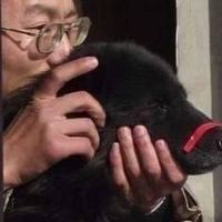 攝手1.0