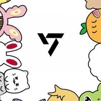 SEVENTEEN💎Carat