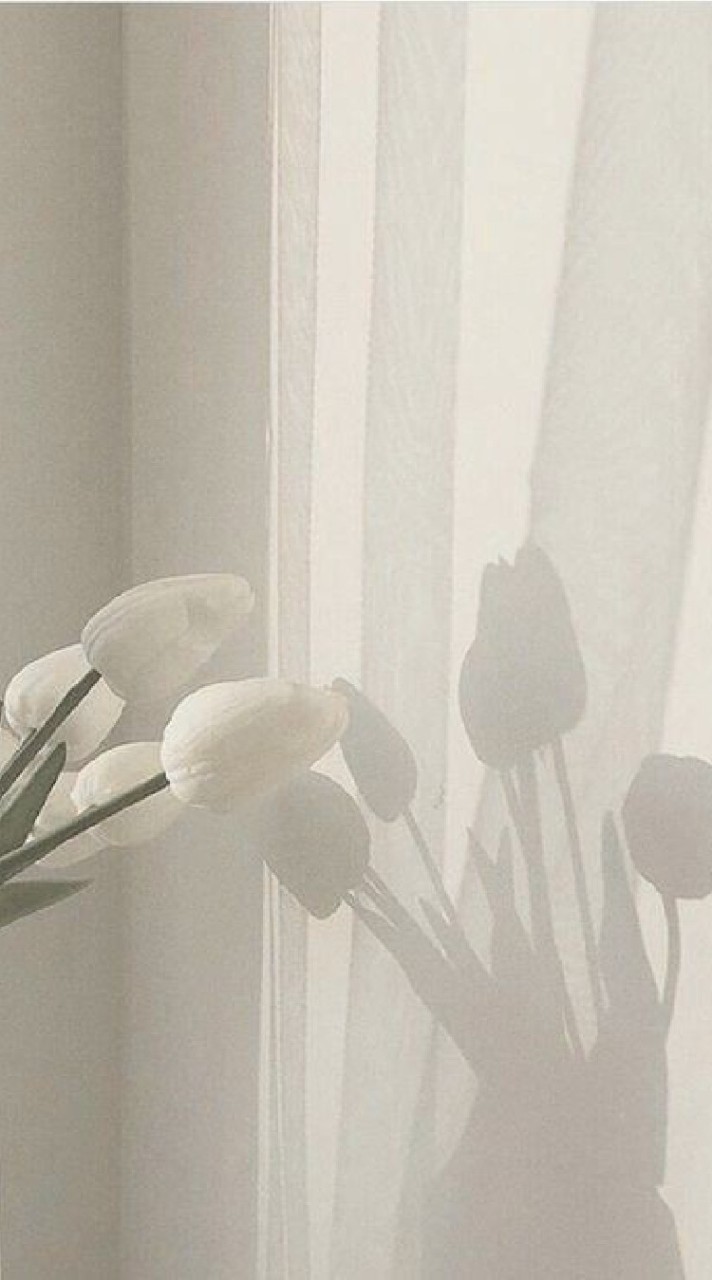 🐹💗♻️ ⌗ กลุ่มแจกฟอมร์ไบโอแล้ะอื่นๆ by 3สหาย𓈈🐬🎀🌀