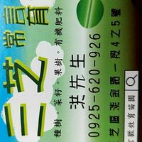 三芝菜苗1