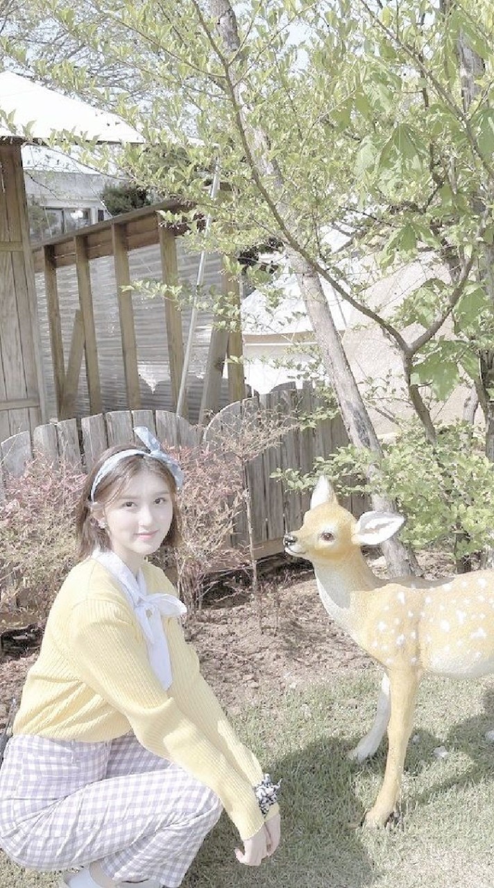 ֗  ִᚐ 💐 ˖ 𓈒 ˚ 𓎭͙กลุ่มสิทธิ์ขาด BY. จูเลีย˚ 𓈒 ⑅ 🌳𓈒 𓈒ིྀ  ̫𓈒𓎭