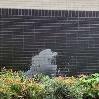 北區哈拉幫