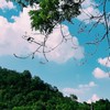 คุมประพฤตพื้นที่  2
