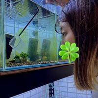 軟人蝦室Softman shrimp studio