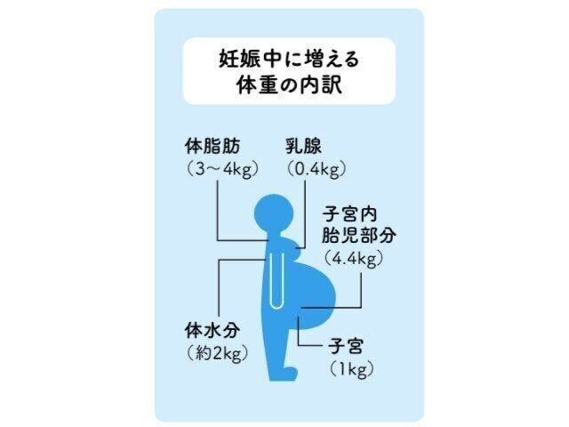 授乳中は1カ月でエネルギー消費 産後ダイエットは注意