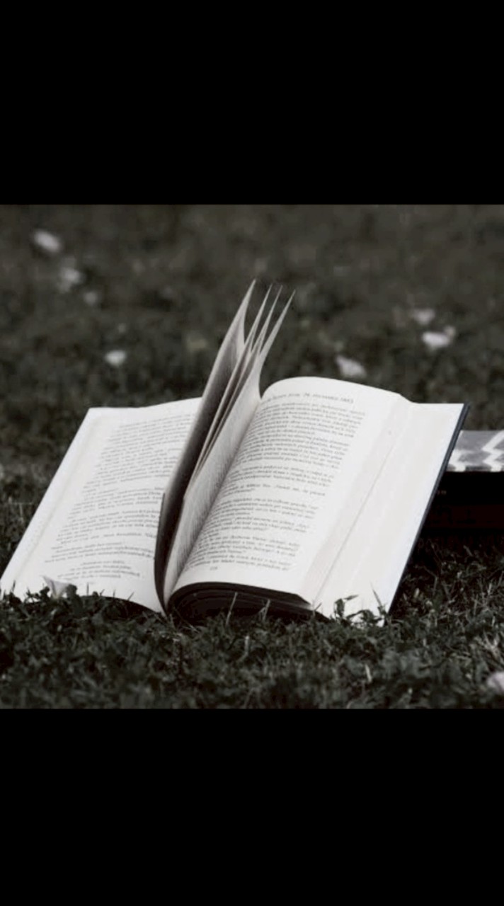 หนังสือเวียนของศูนย์