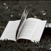 หนังสือเวียนของศูนย์